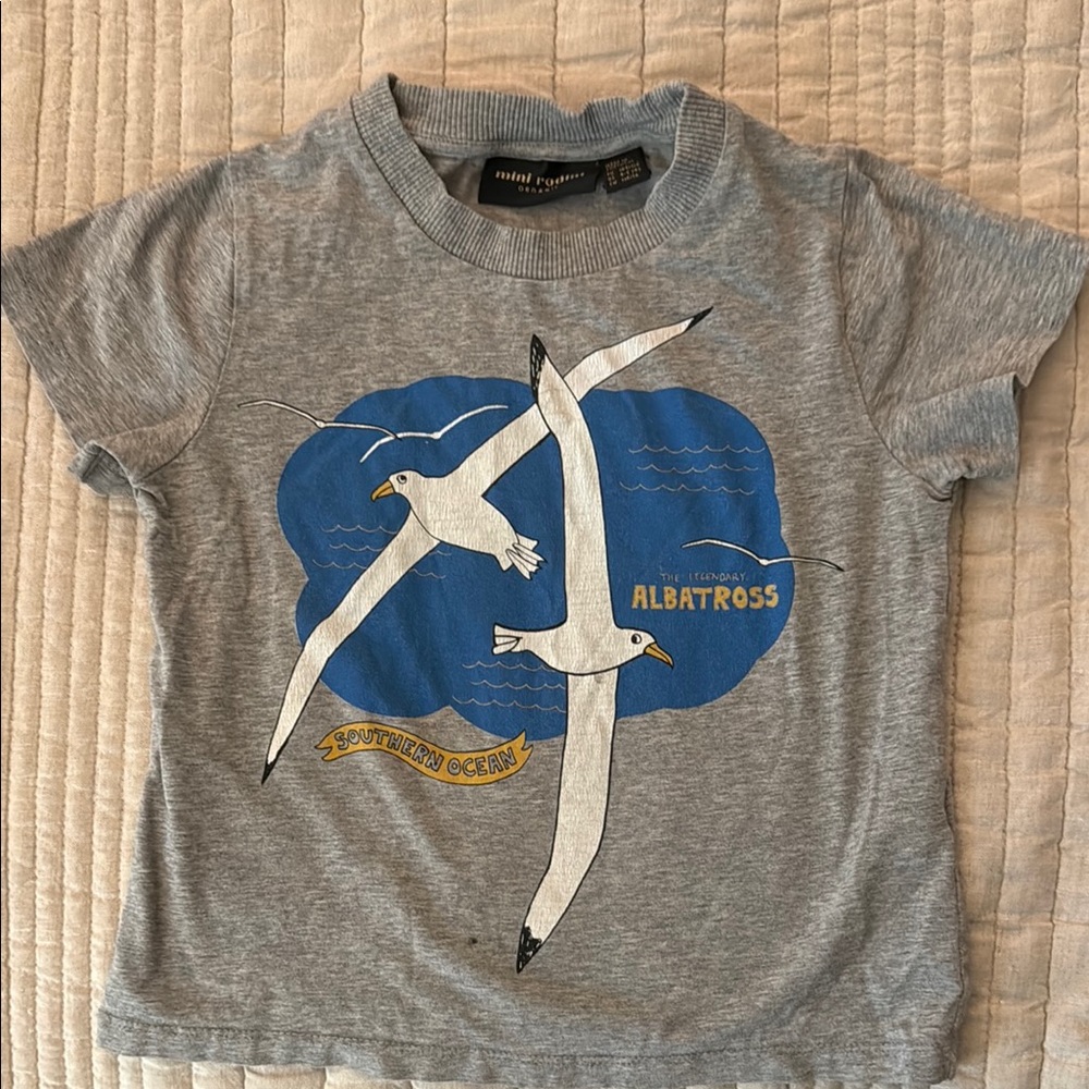 Mini Rodini Kids Gray Tee with Albatross Graphic